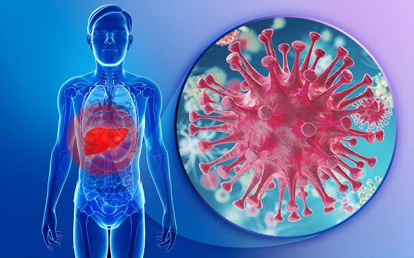 Nhiễm virus viêm gan B hoặc C mạn tính làm gia tăng nguy cơ mắc ung thư gan