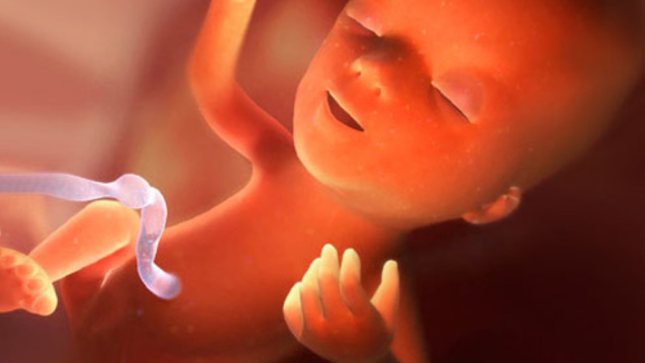 Tìm hiểu về siêu âm thai 15 tuần đặc điểm và phát hiện sớm các vấn đề sức khỏe