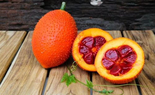 Lớp màng đỏ ngoài của hạt gấc chín chứa nhiều vitamin A, rất tốt cho sức khỏe
