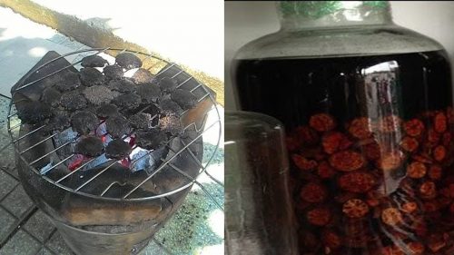 Hạt gấc nướng ngâm rượu là bài thuốc chữa trĩ đơn giản, hiệu quả