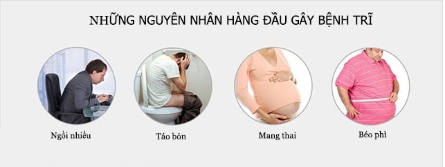 Trĩ là bệnh hay gặp ở dân văn phòng, những người hay ngồi nhiều một chỗ, ít vận động, phụ nữ đang mang thai hoặc sau sinh nở...