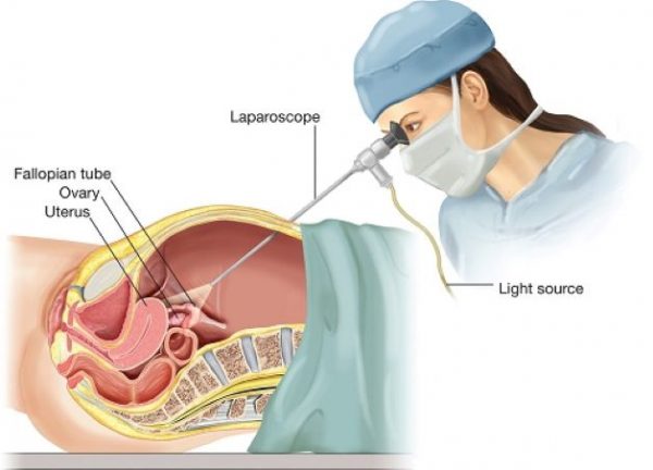 7. Phòng ngừa và giảm thiểu nguy cơ