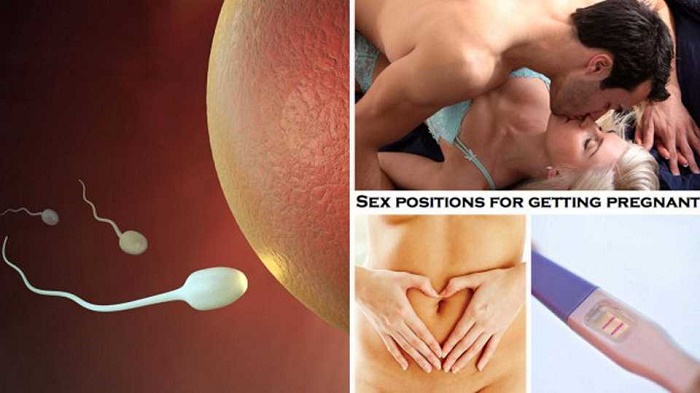 Để có thai, tinh trùng của người nam phải đến được với trứng của người nữ.
