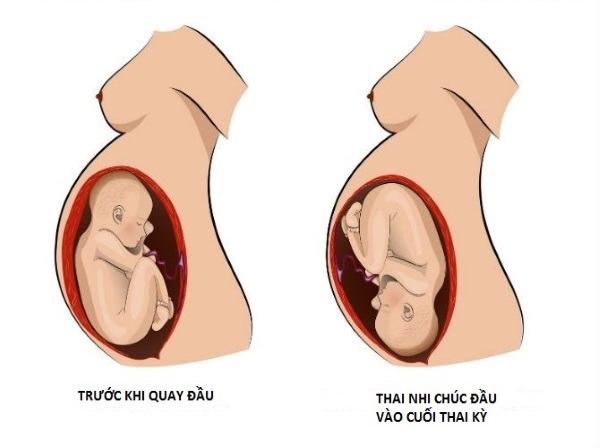 Đau xương chậu khi mang thai tháng cuối: Nguyên nhân và cách giảm đau hiệu quả