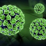 Dương tính HPV cần làm gì?
