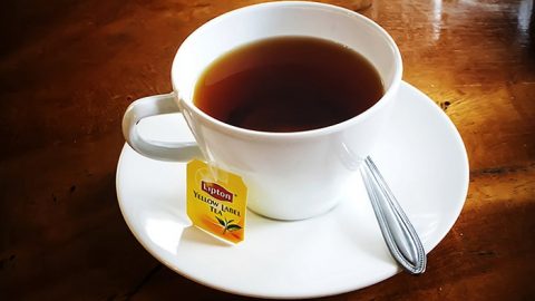 Mang thai uống trà Lipton được không?