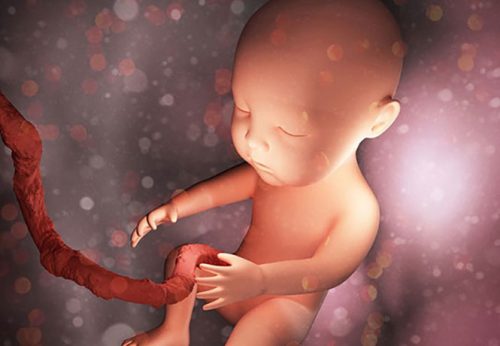 Những dấu hiệu nhận biết thai ngừng phát triển mẹ bầu cần quan tâm