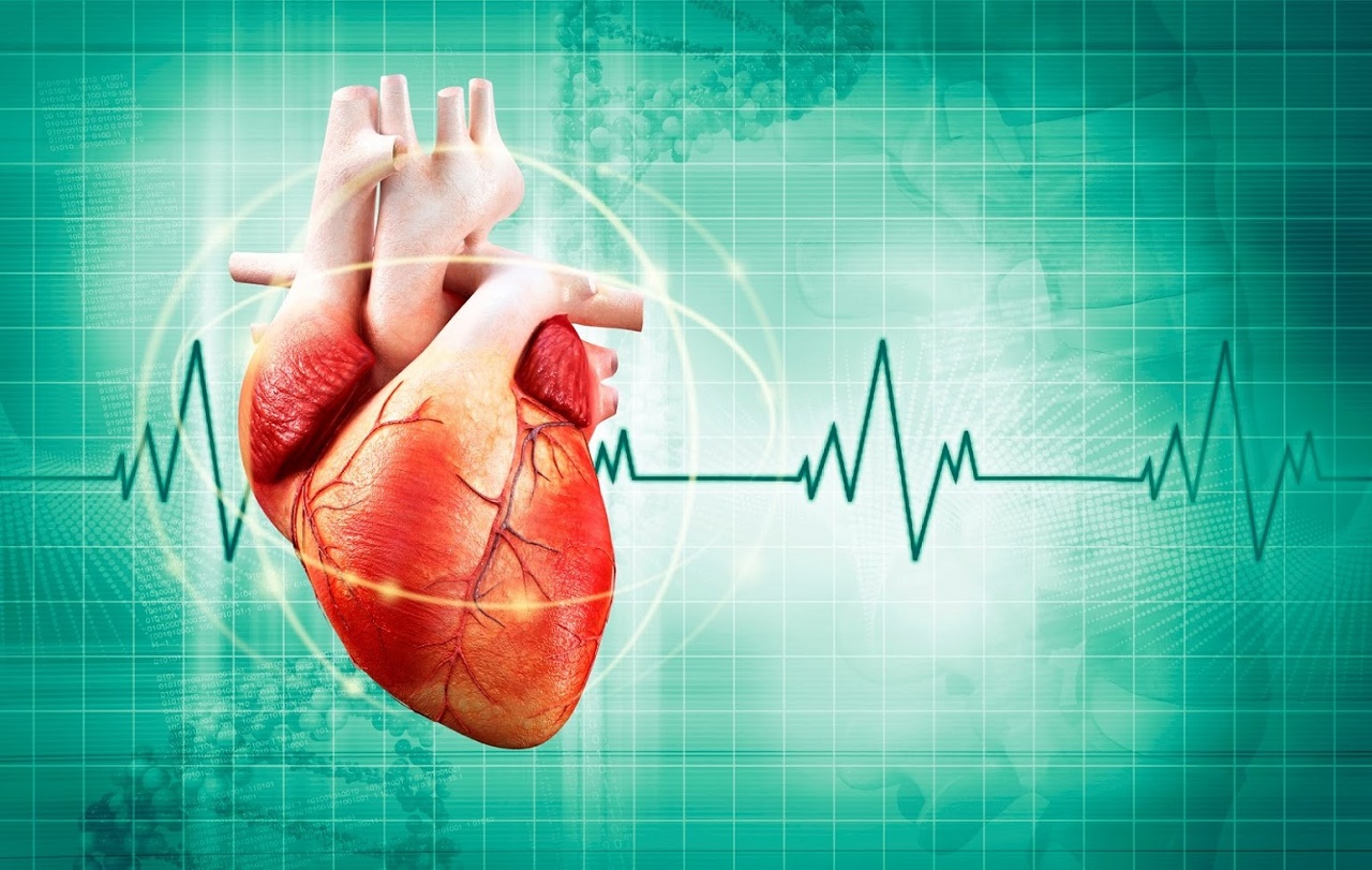 Tách biệt và ưu điểm của bảng giá siêu âm tim nhằm tiếp cận tri thức mới