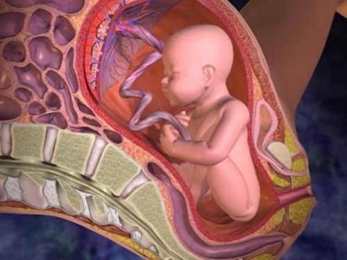suy thai và cách xử trí