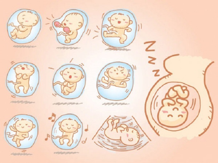 Mỗi em bé có chu kỳ sinh học khác nhau dẫn đến nhịp thai máy, thời điểm máy khác nhau.