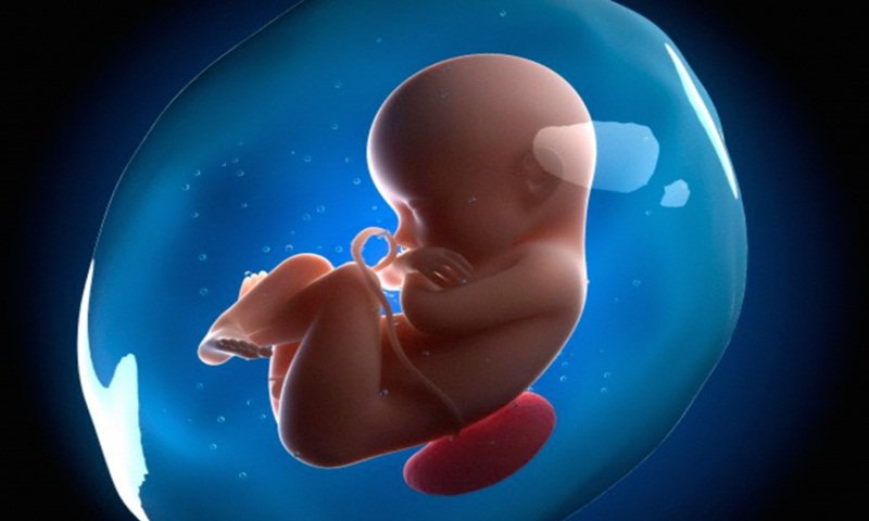 Thai nhi có mẹ bị tiểu đường thai kỳ thường có khả năng bị dị tật cao hơn các trẻ thường