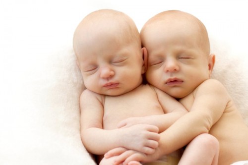 Sinh đôi cùng trứng, hai em bé sẽ giống nhau về giới tính, kháng nguyên, nhóm máu,...