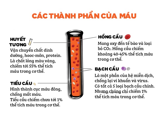 xét nghiệm máu bao nhiêu tiền? Thành phần gồm những gì?