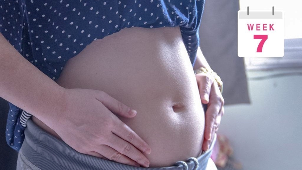 Các bộ phận cơ thể của thai nhi đã hình thành chưa ở tuần thai thứ 7?
