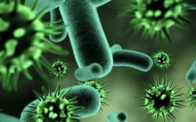 Vi khuẩn và virus là nguyên nhân chính gây ra bệnh này, vi bị tấn công sẽ khiến hệ hô hấp bị suy yếu và gây ra viêm amidan. 