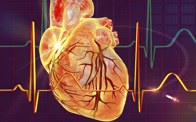 Mạch vành tim là hệ thống động mạch đưa máu đến nuôi dưỡng cơ tim.