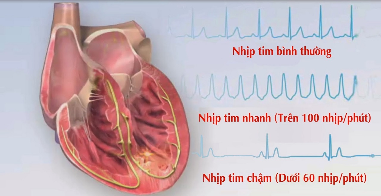 6. Khi nào cần gặp bác sĩ?