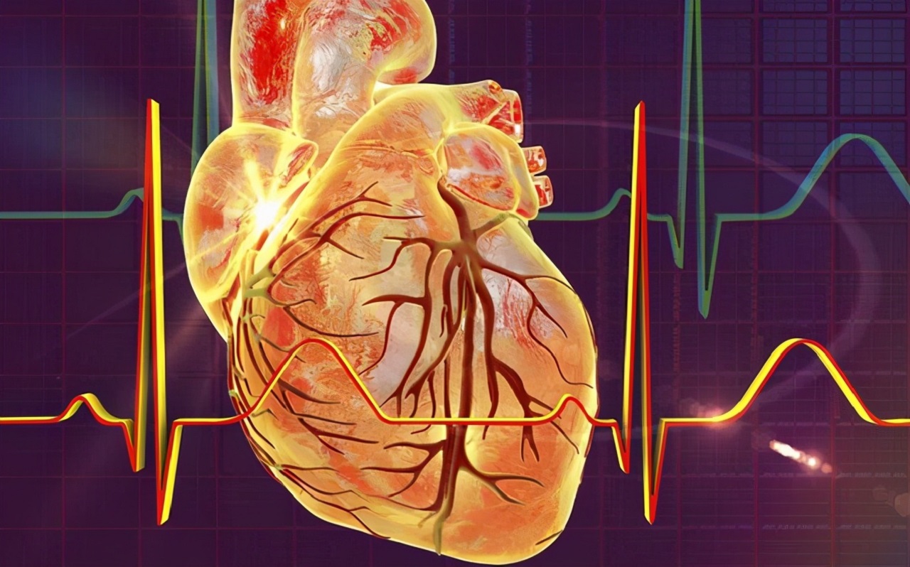 Động mạch vành tim: Cấu tạo, hoạt động và bệnh lý | TCI Hospital