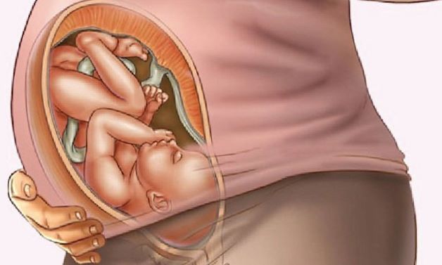 Ngôi thuận là khi thai nhi ở tư thế chúc đầu xuống âm hộ của mẹ, gáy hướng lên phía bụng và mông hướng về ngực của mẹ. 