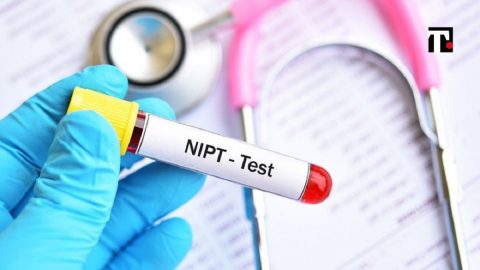 Giải đáp băn khoăn mẹ bầu: Có nên làm xét nghiệm NIPT không?