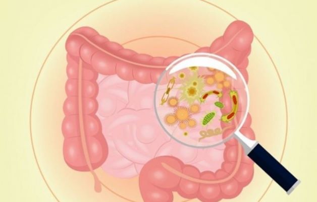 Các loại virus, vi khuẩn được coi là nguyên nhân gây tiêu chảy phổ biến nhất.