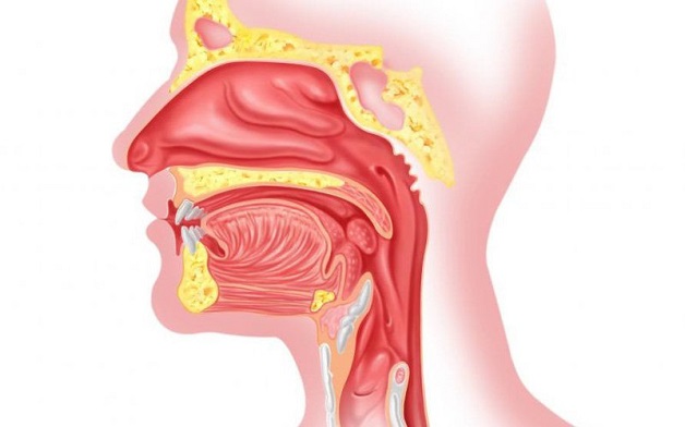 Tai mũi họng là nhóm bệnh lý thường gặp ở mọi lứa tuổi, đặc biệt là ở trẻ em.