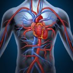 Hở động mạch vành là gì, có nguy hiểm không?