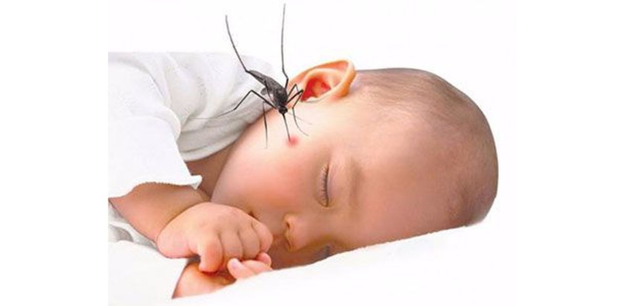 Những dấu hiệu sốt xuất huyết ở trẻ dưới 1 tuổi cần lưu ý