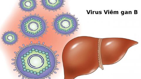 Viêm gan B dương tính và học cách sống chung với virus viêm gan B