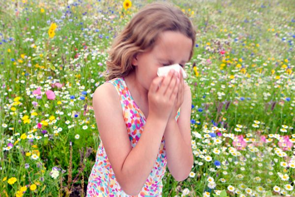 Phấn hoa là tác nhân hàng đầu gây viêm mũi dị ứng ở trẻ em