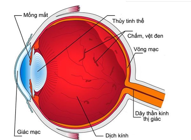 Phương Pháp Điều Trị và Can Thiệp