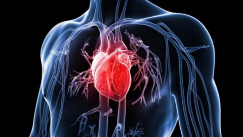 Bệnh lý tim mạch: Nguy hiểm không thể coi thường