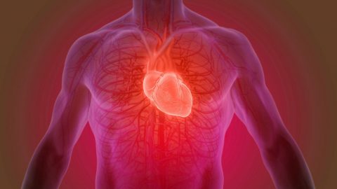 Bệnh cơ tim hạn chế: Nguyên nhân, triệu chứng, chẩn đoán