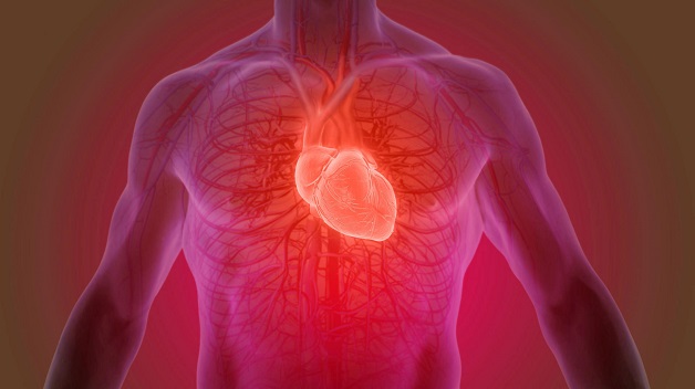 bệnh cơ tim hạn chế là gì?