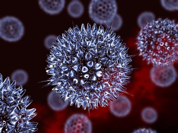 Virus Herpes simplex - Chủng virus thường gây mụn rộp ở người, đặc biệt là mụn rộp ở môi