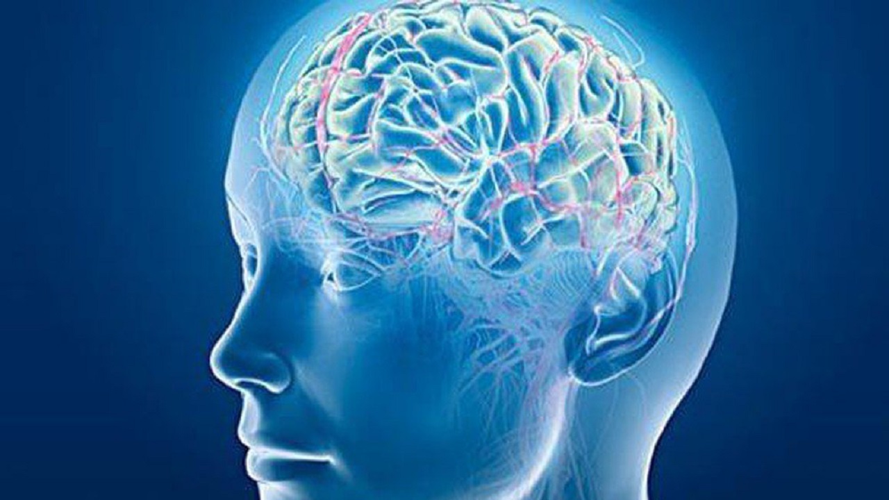 Các nguyên nhân gây vôi hóa liềm đại não và các biểu hiện điển hình