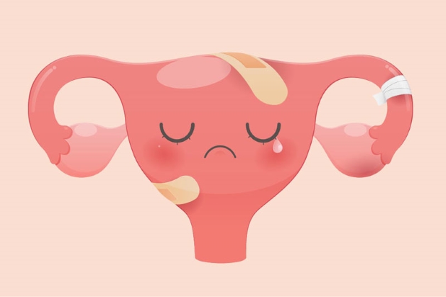 Khi mắc bệnh lý viêm loét vùng kín, nữ giới thường sẽ xuất hiện những triệu chứng rõ ràng như: vùng kín đau rát, gặp khó khăn khi tiểu tiện,...