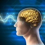 Bệnh suy giảm trí nhớ: Triệu chứng và biện pháp cải thiện