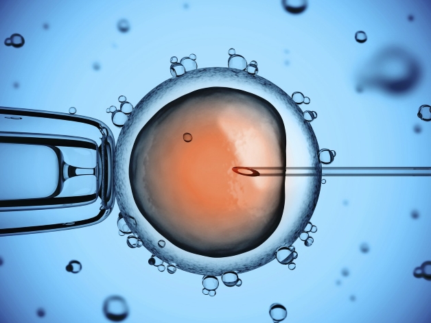 Các mốc khám thai IVF - Thai IVF là bào thai được tạo ra bằng cách can thiệp cho trứng và tinh trùng gặp và kết hợp với nhau.