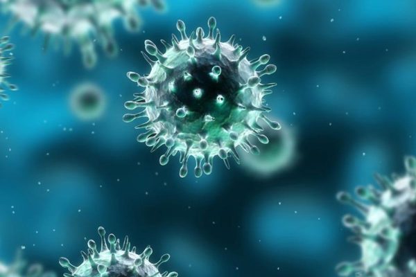 Bệnh cúm A do các chủng virus cúm A gây nên như: A/H1N1, A/H3N2, A/H5N1, A/H7N9