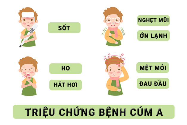 Cúm A Nguy Hiểm Không? Hiểu Rõ Về Virus Và Cách Phòng Tránh Hiệu Quả