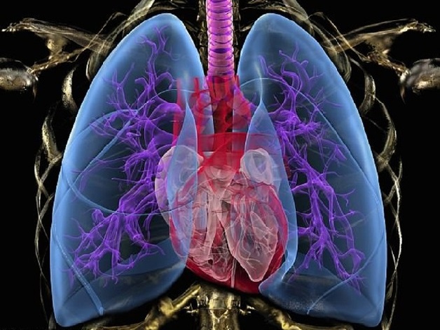 Các bệnh lý tim phổi ngày càng phổ biến và gây ảnh hưởng đến cuộc sống cũng như sức khỏe của người bệnh 