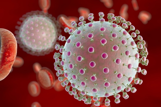 Tiêm vắc xin viêm não Nhật Bản cho người lớn - Bệnh lý viêm não Nhật Bản là một bệnh lý gây ra bởi một loại virus có tên là Arbovirus tuýp B