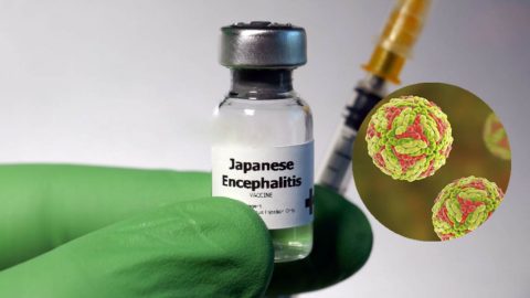 Vắc xin viêm não Nhật Bản có mấy loại? Cần chú ý những thông tin nào?