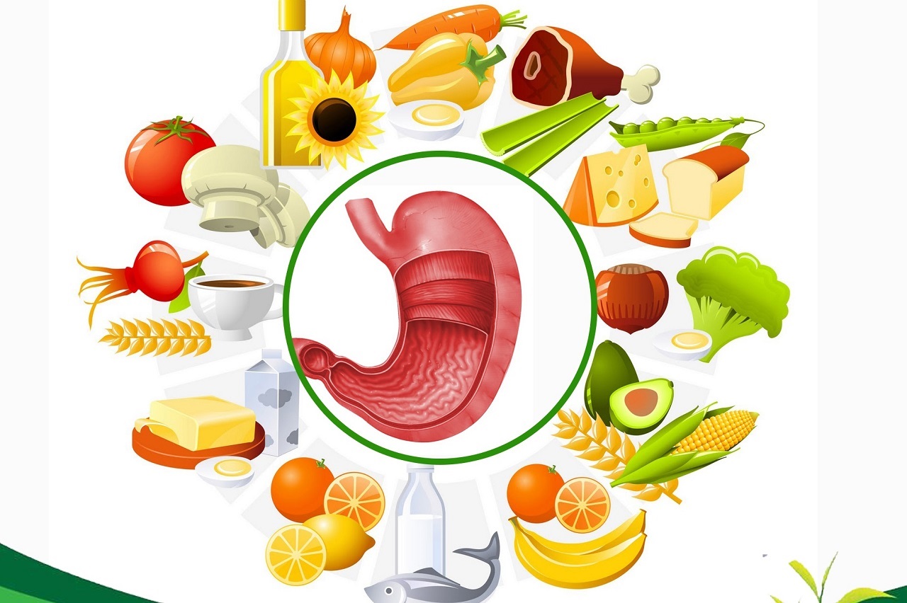 Thực phẩm chứa probiotic ăn có tốt cho viêm dạ dày?
