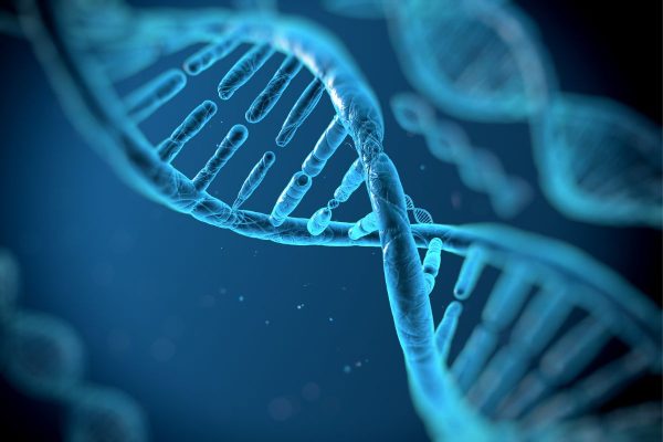Sự đột biến của gen là nguyên nhân hàng đầu gây nên tình trạng viêm võng mạc sắc tố