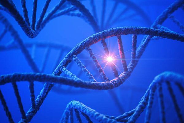 Viêm võng mạc sắc tố chủ yếu hình thành do sự đột biến gen di truyền ở con người.