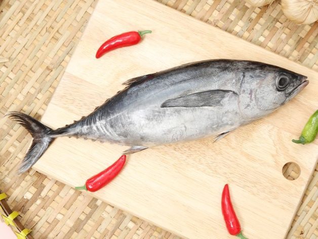 Để hạn chế tối đa nguy cơ tái phát đục bao sau, người bệnh nên thường xuyên ăn cá ngừ