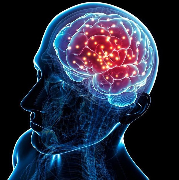cơ chế gây suy giảm trí nhớ sau tuổi 25