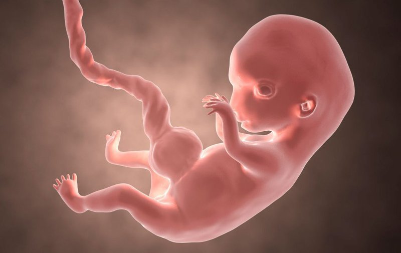 Khám sàng lọc thai 12 tuần - Mốc quan trọng mẹ bầu cần lưu ý